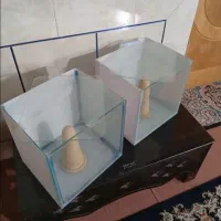 آکواریوم خاص|ماهی|فلاورجان, |دیوار