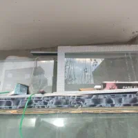 آکواریم|ماهی|اردبیل, |دیوار