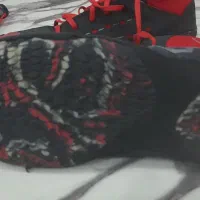 لباس کشتی|لباس|بهارستان, |دیوار