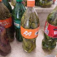 گردو کشمش الوچه|خوردنی و آشامیدنی|مشکین‌دشت, |دیوار