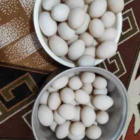 تخم اردک محلی