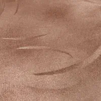 موکت پالاز بسیار تمیز