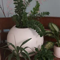 جذب نیروی خدماتی خانم جهت کار در منزل