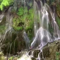 رزروبلیط قطار همه روزه (ابشاربیشه باقطار17)