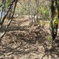 فروش باغستان سیاه میوه در پلنگان|فروش زمین و ملک کلنگی|نیریز, |دیوار