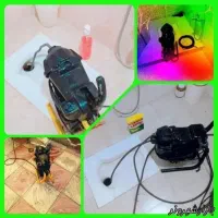 تخلیه چاه.لوله بازکنی. شبانه روزی ارزان تر ازهمه|خدمات پیشه و مهارت|قم, ارم|دیوار