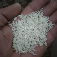 برنج دره رود|خوردنی و آشامیدنی|اردبیل, |دیوار