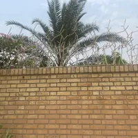 حفاظ شاخه گوزنی