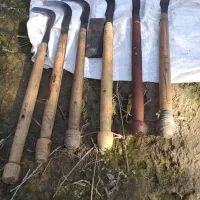 انجامه تمام کار های نخل او باغچه او علف زنی|خدمات باغبانی و درختکاری|شادگان, |دیوار