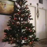 درخت کریسمس تایلندی