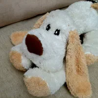 تعدادی عروسک