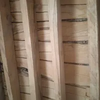 نال تمیز بودن پوسیدگی|عمده‌فروشی|اردبیل, |دیوار