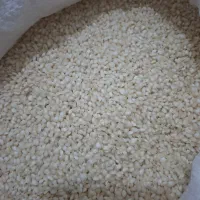 برنج گرده|خوردنی و آشامیدنی|مریوان, |دیوار