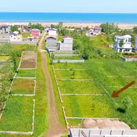 زمین-ساحلی-داخل-بافت