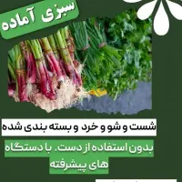سبزی مارکت سبز بانو