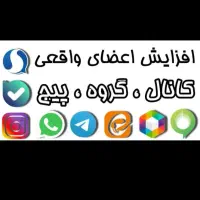 فالوور واقعی با کیفیت بالا|خدمات رایانه‌ای و موبایل|ارومیه, |دیوار