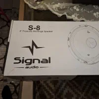 میدرنج سایز8دیجی