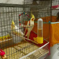 همه چی موجوده قیمت از همه جا ارزان