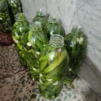 خیار  ریزریز مال سنندج|خوردنی و آشامیدنی|تهران, خزانه|دیوار