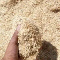 کاه گندم حدودا پنج تن کیلویی پانزده هزارتومان