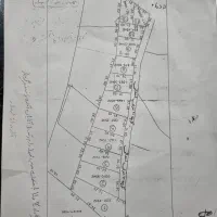 فروش زمین کشاورزی «شرایط ویژه»