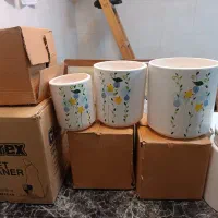 گلدان تکی و عمده|گل و گیاه طبیعی|آستانه اشرفیه, |دیوار