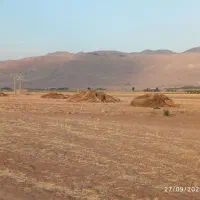 فروش جارو به صورت عمده و خورده|حراج|خانمیرزا, |دیوار