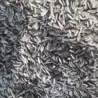 پخت وتفت انواع تخمه و آجیل|خوردنی و آشامیدنی|ارومیه, |دیوار