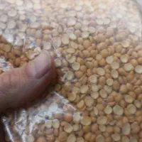 حبوبات عدالت|خوردنی و آشامیدنی|تهران, سلسبیل شمالی|دیوار