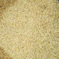 بذر گندم دیم (بَش) اصلاح شده و تمیز