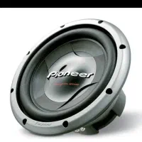 ساب پایونیر ۳۰۸