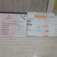 راننده|استخدام حمل و نقل|درب گنبد, |دیوار