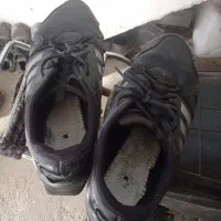 کتونی اورجینال استوک اصل|کیف، کفش، کمربند|قائمشهر, |دیوار