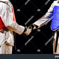 تدریس خصوصی هنر رزمی تکواندو