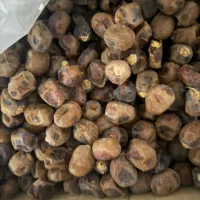 با سلام فروش خرمای برحی