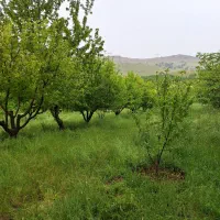 باغ-روستای-فیروزاباد