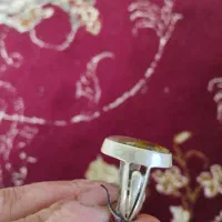 انگشتر شجر دریایی|کلکسیون اشیاء عتیقه|قم, امامزاده ابراهیم|دیوار