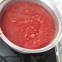 رب خونگی|خوردنی و آشامیدنی|تهران, تهران‌نو|دیوار