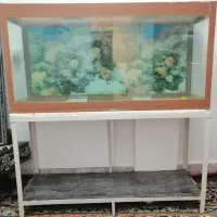 آکواریوم