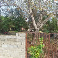 فروش زمین ۲۵۰ متر/ رادیو دریا