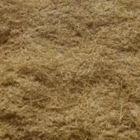 کاه گندم دیمی