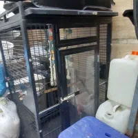 قفس طوطی و کاسکو