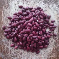 خرید  عمده لوبیا چیتی و قرمز