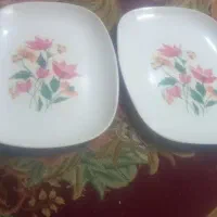 سینی نونو|ظروف سرو و پذیرایی|شیراز, شهرک قمشه|دیوار