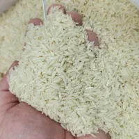 ویژه اقساطی برنج