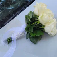 ماشین عروس|گل و گیاه طبیعی|شیراز, خلدبرین|دیوار