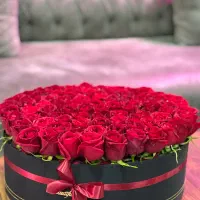 رز قرمز