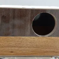 لانه عروس هلندی