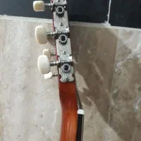 گیتار خوش صدا|گیتار، بیس، امپلیفایر|نکا, |دیوار