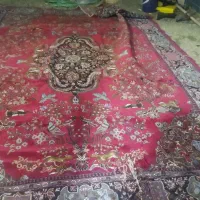 فرش 12 متری درحدنو|فرش|کوهدشت, |دیوار